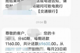 顺昌为什么选择专业追讨公司来处理您的债务纠纷？